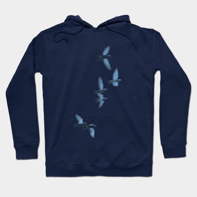 flying birds Hoodie by frndpndrlc